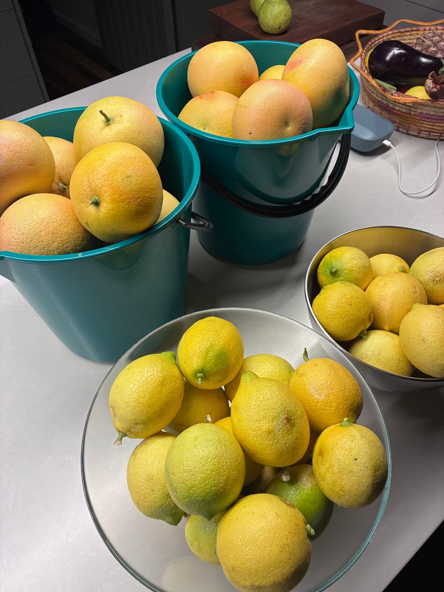 Pink Grapefruit and Lemon Myrtle Gin